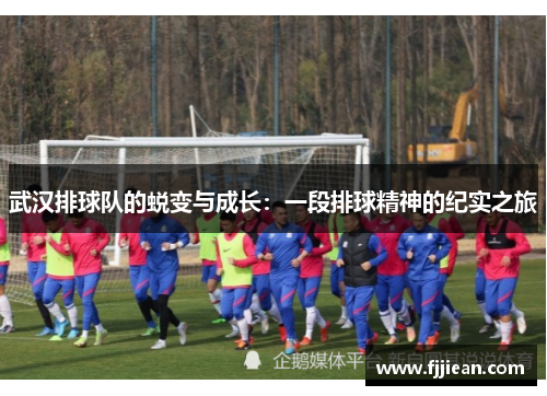 武汉排球队的蜕变与成长：一段排球精神的纪实之旅