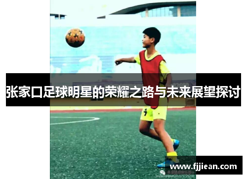 张家口足球明星的荣耀之路与未来展望探讨