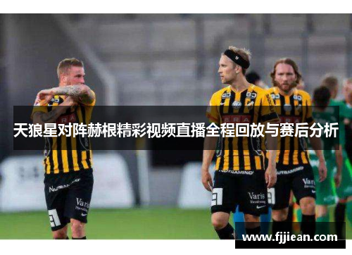 天狼星对阵赫根精彩视频直播全程回放与赛后分析